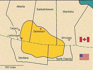 Distribution of wheat stem sawfly in the northern plains