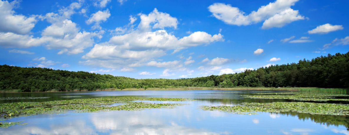 Blue sky over a Saskatchewan lakeshore