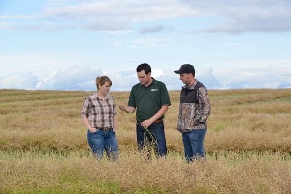 People standing in a field