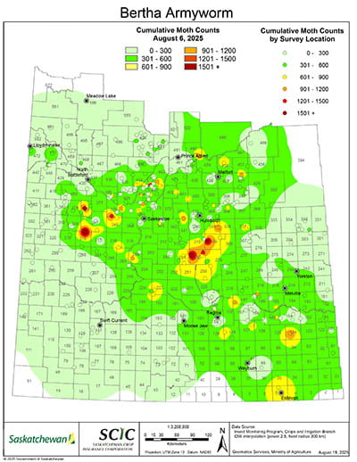 Bertha-Armyworm-Map-Aug-2025