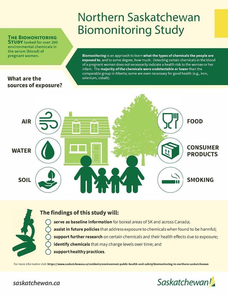Infographic describing different chemicals found in our everyday environment
