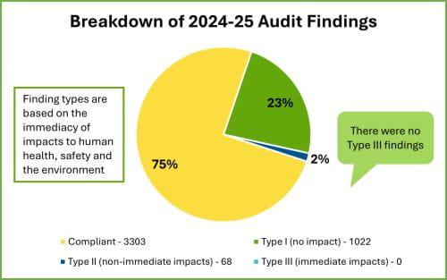 Breakdown of 2024-25 Audit Findings Pie Graph