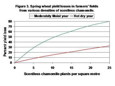 Spring wheat yield losses in farmers' fields from various densities of scentless chamomile