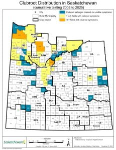 Clubroot Distribution map in the province of Saskatchewan