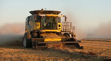 Combine threshing grain