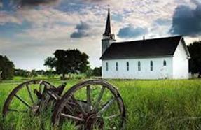 Conservation advice and information