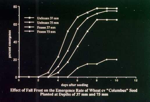 Effect of fall frost graph