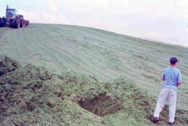 four-wheel drive tractor