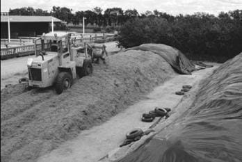 Silage stacking being packed