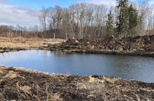 Freshly dug dugout filled with water in front of a treeline
