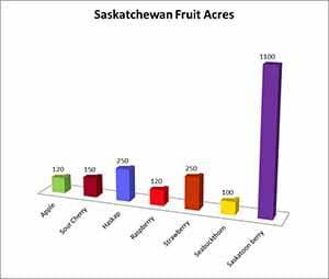 Chart of Saskatchewan fruit acres