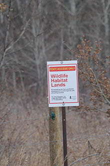 Fish and Wildlife Development Fund lands sign. Sign says "Wildlife management lands. Foot access only."