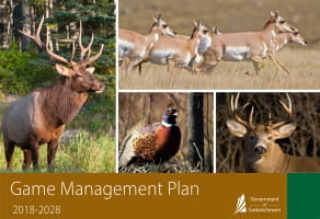Game Management Plan