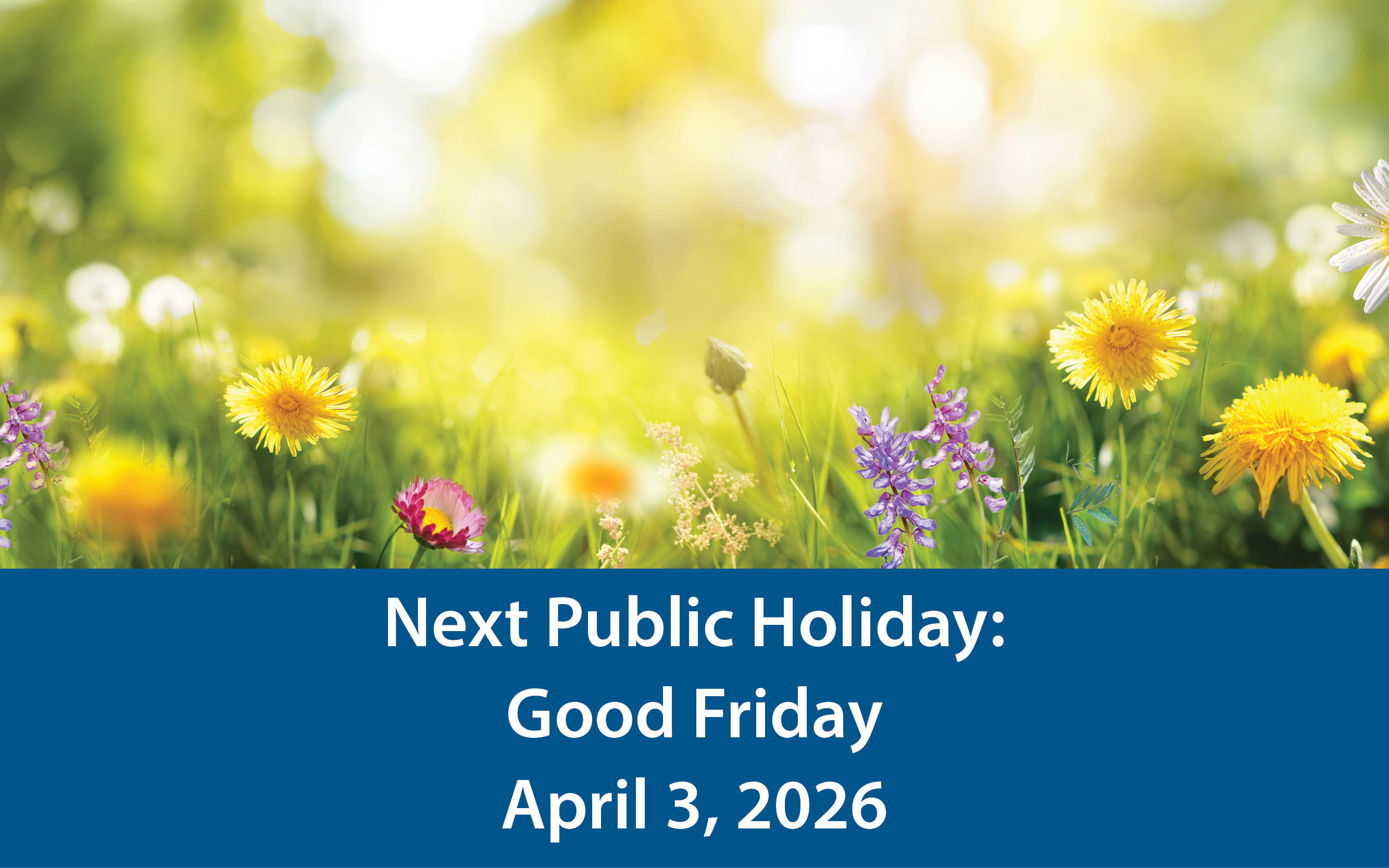 A vibrant field of spring flowers, and the text below the image reads "Next Public Holiday: Good Friday, April 3, 2026."