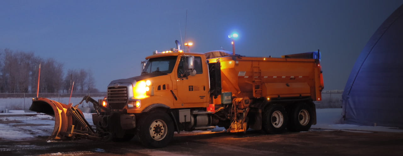 Members of the Paleo team unearthing the fossilized skull of a Prognathodon skull in Grasslands National Park in 2021.