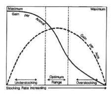 relationship between stocking rate and production
