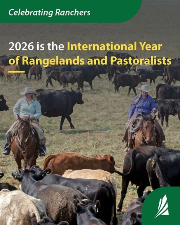 Graphic reads: Celebrating Ranchers. 2026 Is the international year of rangelands and pastoralists. Behind the text is an image of ranchers on horseback amoungst their cattle in a pasture.