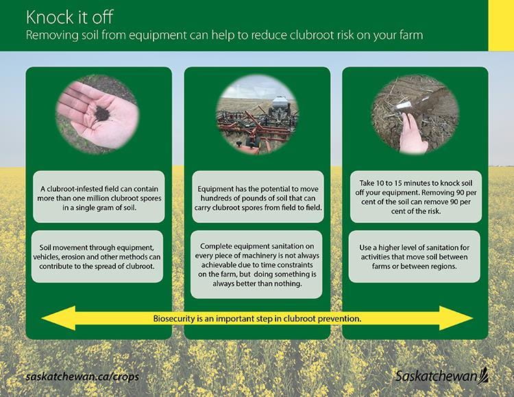 Knock it Off - infographic