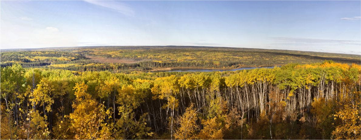 Photo of autumn in Saskatchewan