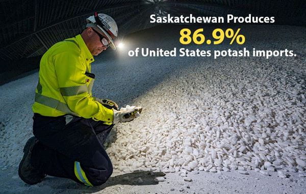Saskatchewan produces 86.9 per cent of United States potash imports. A mine worker looks at potash in the mine.