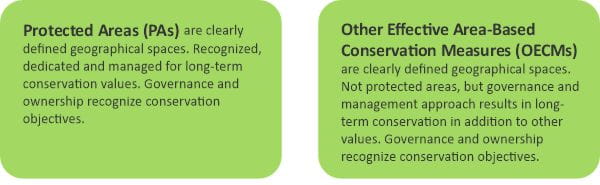 Protected Areas (PAs) are clearly defined geographical spaces. Recognized, dedicated and managed for long-term conservation values. Governance and ownership recognize conservation objectives. Other Effective Area-Based Conservation Measures (OECMs) are clearly defined geographical spaces. Not protected areas, but governance and management approach results in long-term conservation in addition to other values. Governance and ownership recognize conservation objectives.