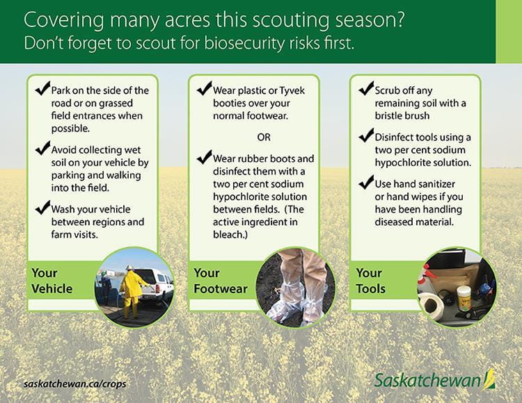 Scouting for biosecurity risks