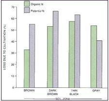 Effect of Cultivation on Loss of Potentially Mineralizable Nitrogen and Organic Nitrogen in Some Saskatchewan Soils