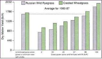 Comparison of Beneficial Effect of Alfalfa with Effect of N-fertilization on Grass yield on a Brown Loam