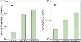 Effect of Legume Green Manure or Legume-Grass Hay Crop on Nitrogen Supplying Power and (B) Soil Organic Matter in Topsoil