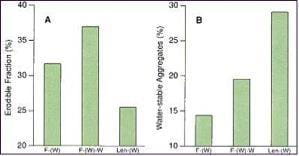 Effect of Grain Legume on Wind Erodibility and Resistance to Water Erosion in Surface Soil