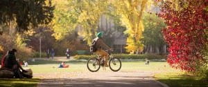 Person riding a bicycle surrounded by trees changing to fall colours