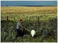 Monitoring with a sweep net