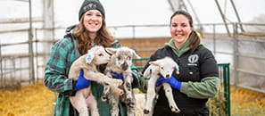 Two female veterinary students holding lambs.