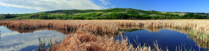 Photo showing Saskatchewan water and marsh lands with green hills in the background