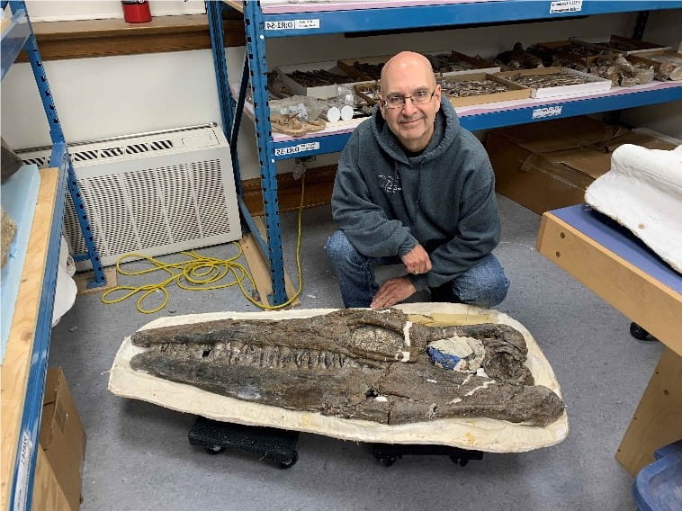 A person standing over a large fossil.