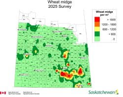 2025 Wheat Midge Survey Map
