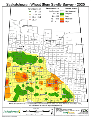 Map titled "Saskatchewan Wheat Stem Sawfly Survey - 2025" showing regional damage levels across Saskatchewan, Canada. Colored circles indicate percent of wheat stems cut and severity of damage: green (low, 0.1–2.0%), yellow (moderate, 2.1–25.0%), orange/red (high, 25.1%+). White areas were not surveyed. Includes labeled cities like Moose Jaw, Regina, and Swift Current.